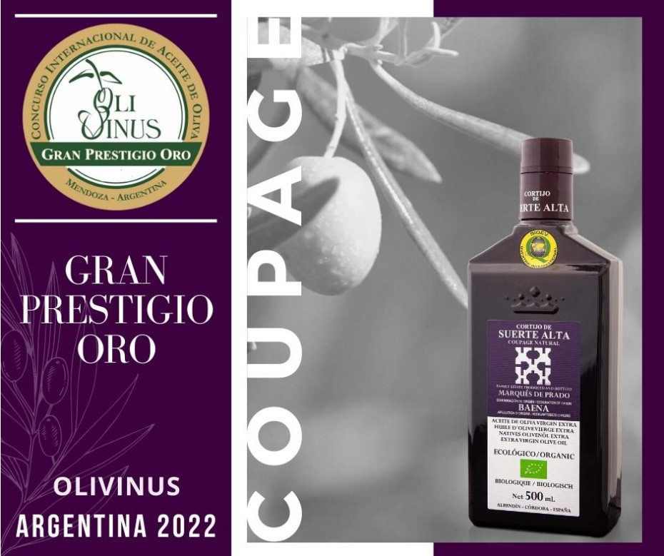 Coupage Natural galardonado en Olivinus Argentina 2022
